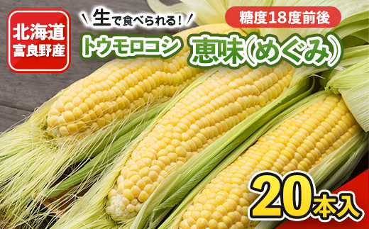 
            2026年先行予約　生で食べれるトウモロコシ　恵味(めぐみ)　20本入り【1339554】
          