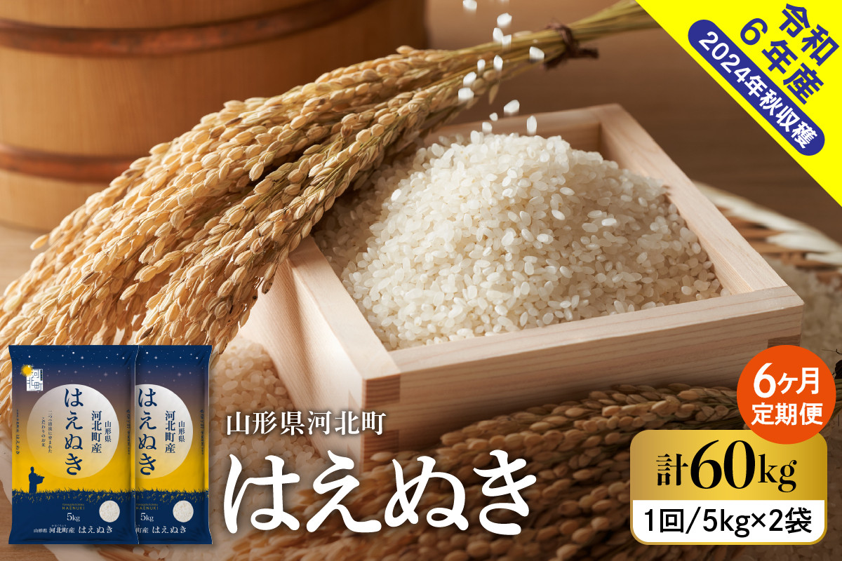 
            【令和6年産米】※選べる配送時期※ はえぬき60kg（10kg×6ヶ月）定期便 山形県産 【米COMEかほく協同組合】
          