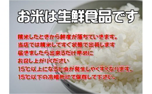 【定期便/3ヶ月】令和7年産岩手県産ひとめぼれ5kg 【1295】