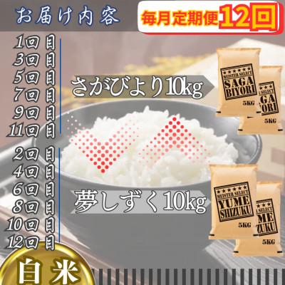 ふるさと納税 江北町 【毎月定期便】食べ比べ白米10kg(さがびより・夢しずく)(江北町)全12回 |  | 02