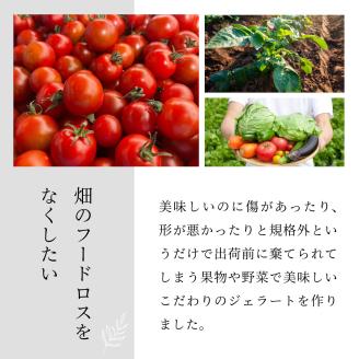 三春町産クラフトジェラート詰め合わせ6個【07521-0098】