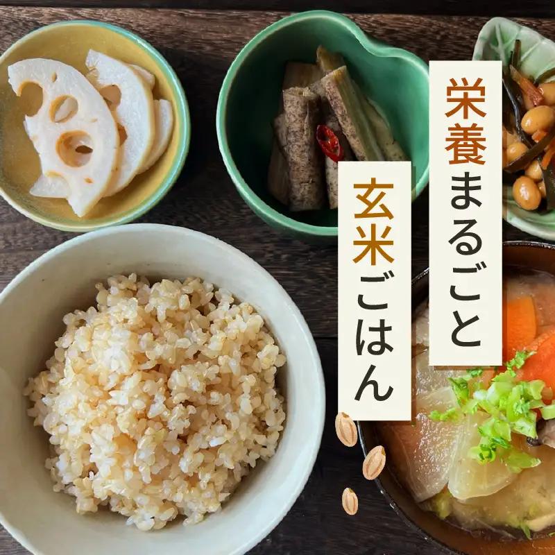 【玄米】定期便 ≪6ヶ月連続お届け≫コシヒカリ 令和8年産 玄米 5kg × 6回 (計30kg) 【長谷川農園】 [m22-f005]