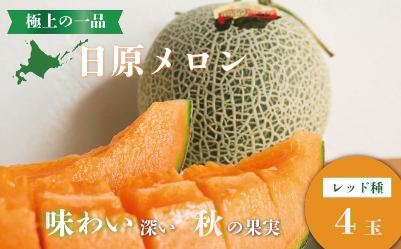 
            【先行予約】極上の一品「日原メロン（レッド種）」（1.7kg相当×4玉）　YH018
          