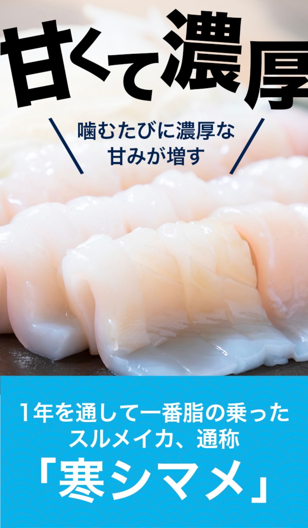 【のし付き】朝どれ寒シマメ（スルメイカ）丸ごと5本 冷凍 刺身 ＜便利な個包装＞_イメージ2