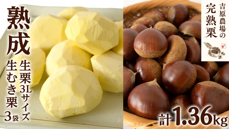【 吉原農場 の 完熟栗 】 熟成 生栗 1kg 3Lサイズ ・ 生むき栗 3袋 セット 令和7年産 完熟 栗 くり クリ 栗ごはん 贈答 ギフト 果物 フルーツ 数量限定 旬 秋 冬 正月 おせち [CX012ci]