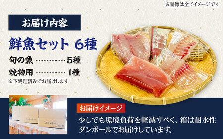 【全6回定期便】超速冷凍鮮魚6種（5種+焼物用1種）五島市/金沢鮮魚 魚  鮮魚 鮮魚ボックス [PEP066]