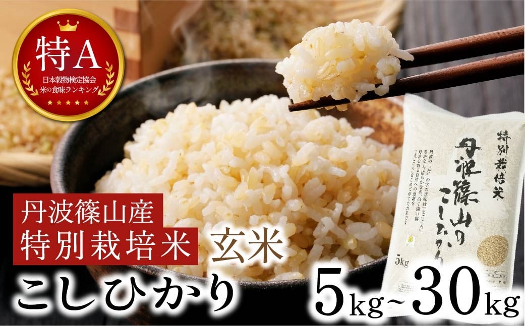 
                  【令和7年産】〈特Aランク〉丹波篠山産こしひかり　玄米　5kg～30kg選択可〈特別栽培米・減農薬〉自家製堆肥で土づくり◆兵庫県丹波篠山市
                