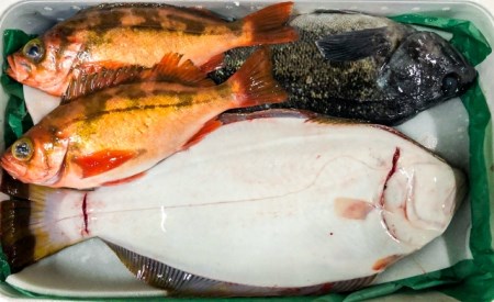 【3月発送開始】おさかなマイスター厳選　冬の魚介類BOX　(M)