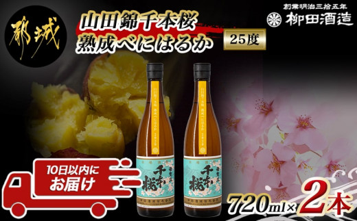 
【柳田酒造】山田錦千本桜 熟成べにはるか(25度)720ml×2本 ≪みやこんじょ特急便≫_AA-0750_(都城市) べにはるか 焼酎 25度 熟成 お湯割 ロック ソーダ割 伝統製法 こだわり 老舗 定番焼酎
