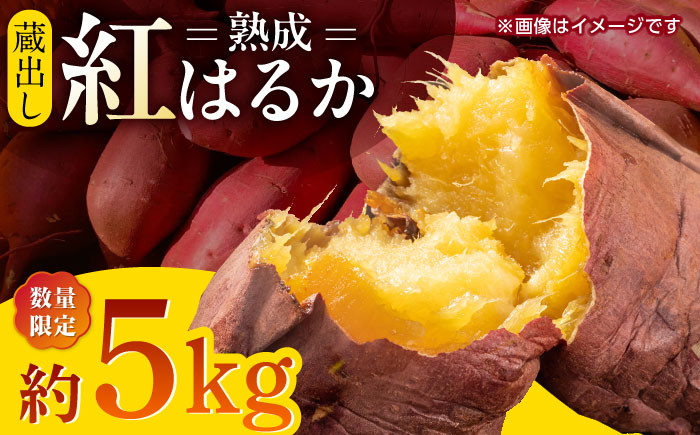 
            【先行予約】【数量限定】 蔵出し 熟成 紅はるか さつまいも 約5kg サイズバラバラ 密 芋 【合同会社 福福堂】 芋 いも 熟成 特産品 熊本県 九州 [ZCN017]
          
