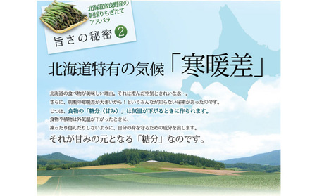 【2026年5月下旬～発送】北海道 富良野産 訳あり グリーンアスパラ 【1kg】Sサイズ・SSサイズ（スイートベジタブルファクトリー）野菜 新鮮 直送 朝採り アスパラガス 道産 北海道 ふらの