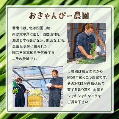 ふるさと納税 香南市 香南市のニラ 2kg 6ヶ月定期便 合計12kg Won-0018 |  | 03