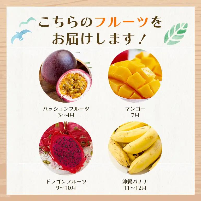 フルーツ 定期便 全 4回 名護パイン園 178-7
