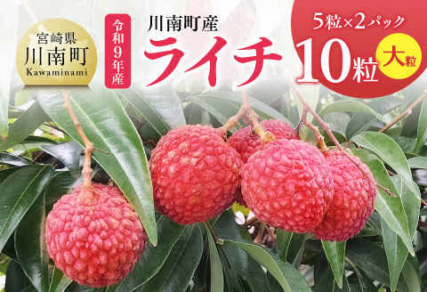 【令和9年産】川南町産ライチ10粒(5粒×2パック) 大粒 【 国産ライチ フルーツ デザート 宮崎県産 】 [B03208]