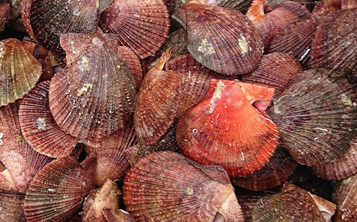 山田のあかちゃん（小瓶） 2本 三陸山田 山田町 山田産 赤皿貝 ２枚貝 燻製 オリーブオイル おつまみ 無添加 手作り  保存食 備蓄 防災 災害対策 魚介 海産物 加工品 食品 YD-771