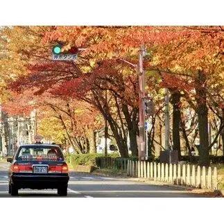 【MKハイヤー観光】【ミニバン5時間】ドライバーとめぐるとっておきの京都観光（6／21-9／30・12／1-3／20）