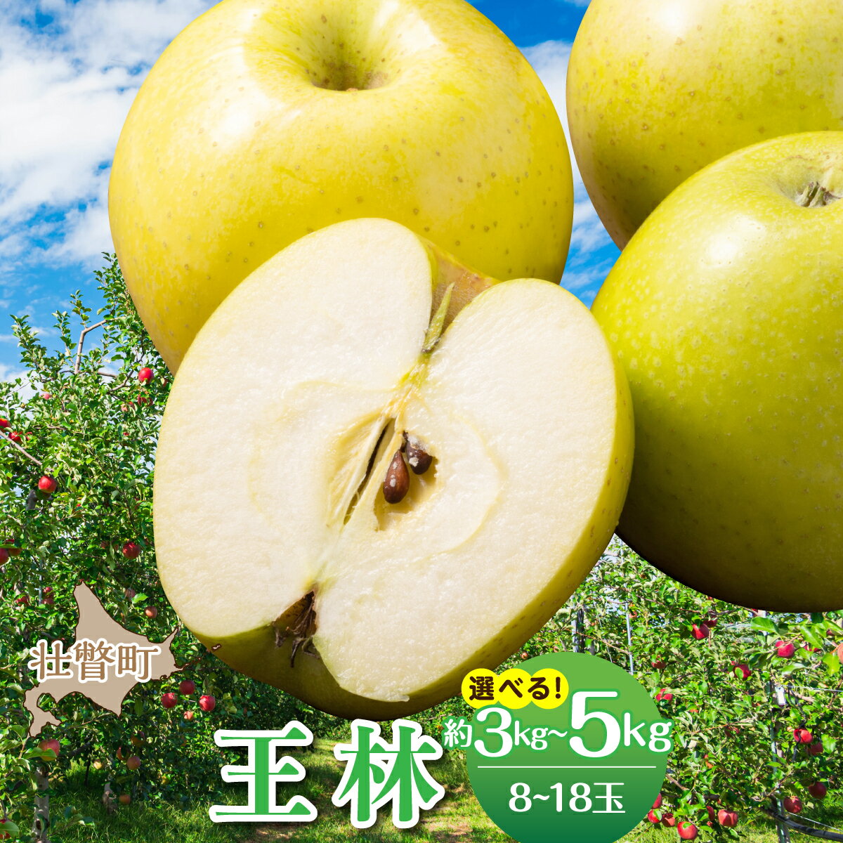 【ふるさと納税】＜2026年11月中旬よりお届け＞北海道壮瞥町　りんご　品種名「王林」 選べる容量 約3kg / 5kg【 りんご リンゴ 林檎 果物 フルーツ 甘い 爽やか 香り 濃厚 北海道産 壮瞥町 数量限定 】