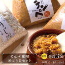 【ふるさと納税】【身体にやさしい発酵食品！】てんぺ味噌 (800g×2袋) 米こうじセット (500g×1袋) 乾燥 健康食品 無塩 国産 佐賀県産【しろいし特産物直売所】[IAI001]