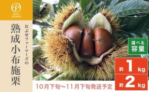 寒暖差があり、日照時間が長い小布施の気候で育った栗は、甘みが強く、口当たりのよい食感となります。