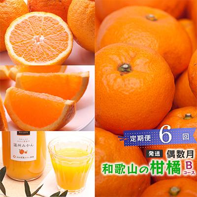 ふるさと納税 和歌山市 【発送月固定定期便】季節の柑橘定期便B【フルーツ定期便】【和歌山県有田】全6回