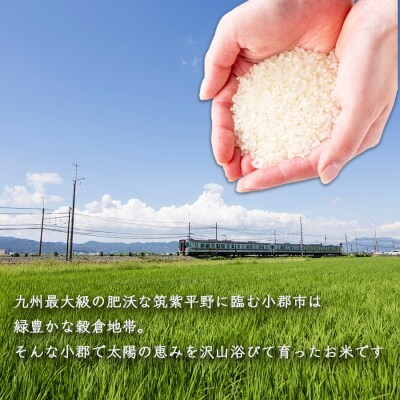 定期便 6回 福岡県産 米 夢つくし 精米5kg×6ケ月