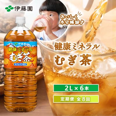 ふるさと納税 恵庭市 『定期便:全8回』健康ミネラルむぎ茶2L×6本【50001201】