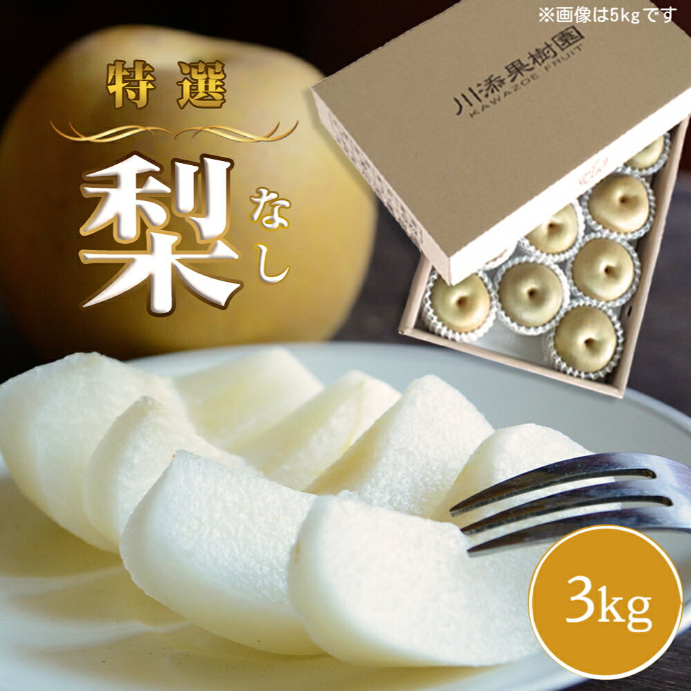 【ふるさと納税】 旬の品種をお届け！ 川添果樹園の特選 梨 約3kg 徳島県産 和梨 幸水 豊水 南水 秋月 新高 国産 鳴門