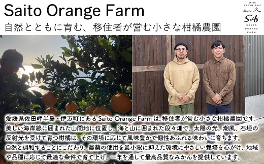 【先行予約】Saito Orange Farm　お徳・訳あり用　伊予柑4kg ｜ 柑橘 みかん ミカン フルーツ 果物 伊予柑　宮内伊予柑　 愛媛　　※2027年1月上旬頃より順次発送予定 【ふるさと