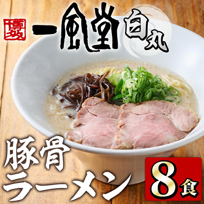 【ふるさと納税】一風堂 白丸 ラー麦麺セット (8食入り) ラーメン 拉麺 麺 ラー麦 博多ラーメン 豚骨ラーメン 白丸 一風堂 ストレート麺 豚骨スープ 常温 常温保存 常温配送【フーデリジェンス】