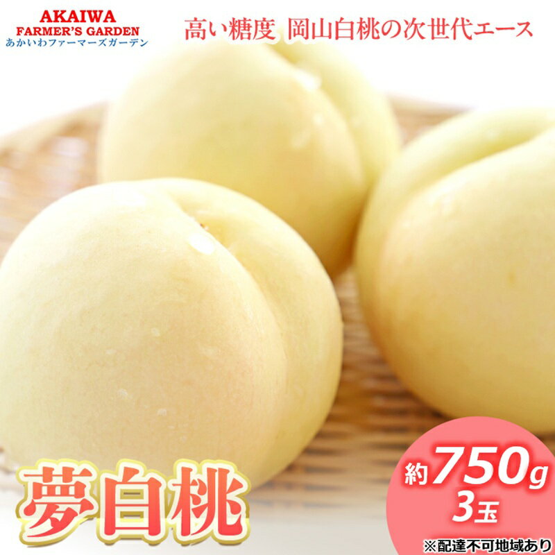 【ふるさと納税】桃 2026年 先行予約 おかやま 夢 白桃 約750g 3玉 もも 岡山県 赤磐市産 フルーツ 果物 あかいわファーマーズガーデン デザート 旬の果物 旬のフルーツ　お届け：2026年7月下旬～2026年8月中旬