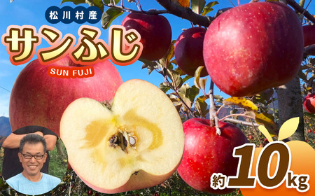 並品 サンふじ 約10kg ｜ 北條農園 リンゴ りんご 林檎 果物 フルーツ 果実 果汁 サンふじ さんふじ 長野県 松川村 信州