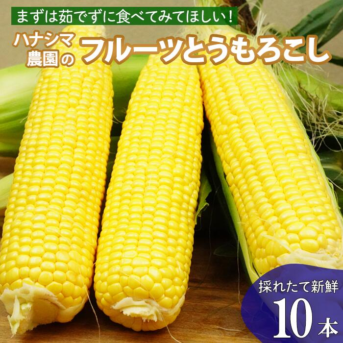 【ふるさと納税】生で食べれるほどの新鮮さと甘さ！フルーツとうもろこし 10本