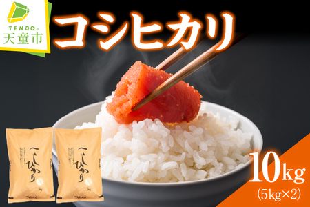 コシヒカリ 10kg [ 令和7年産 ] 米 精米 山形 08-30-039