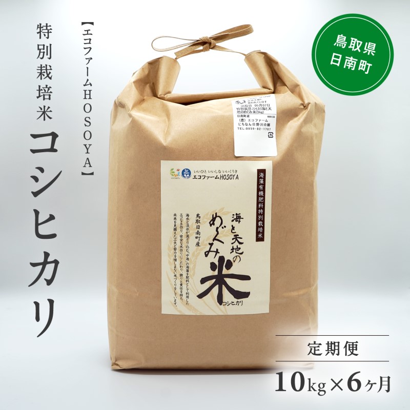 【6カ月連続お届け】新米 令和6年産 海と天地のめぐみ米（コシヒカリ） 白米10kg