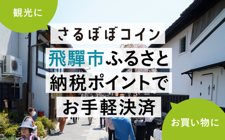 さるぼぼコイン　飛騨市ふるさと納税ポイント 90,000pt [Q2297]