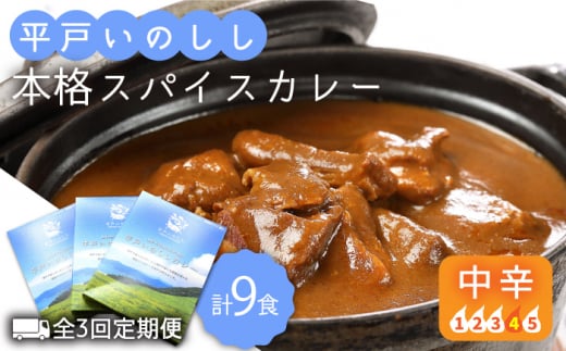 【全3回定期便】平戸いのしし本格 スパイス カレー 3食セット【平戸ファクトリー】 [KAB181]