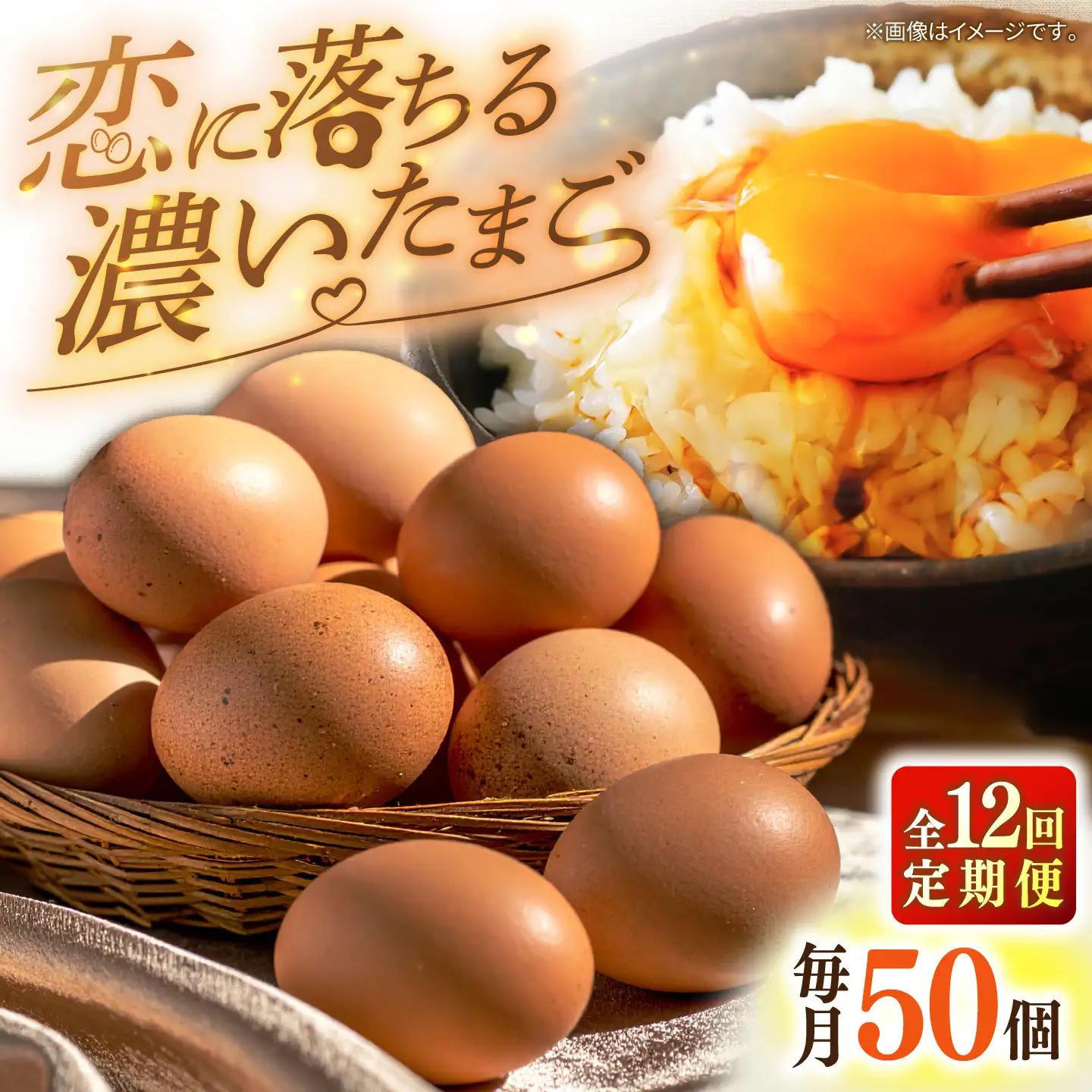 【全12回定期便】特選 素直な恋たまご 50個 《壱岐市》【しまのたまご屋さん】 [JAP025] 卵 たまご 鶏卵 玉子 ギフト 国産 卵かけご飯 たまごかけご飯 のし 定期便[JAP025]