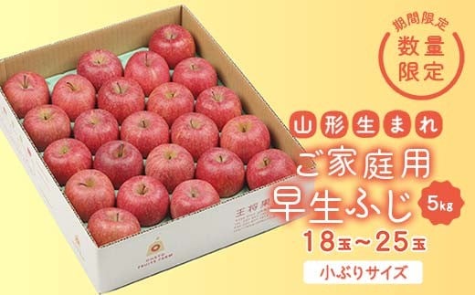 《先行予約 2026年度発送》【王将果樹園】ご家庭用早生ふじ 5kg りんご リンゴ 林檎 デザート フルーツ 果物 くだもの 果実 食品 山形県 FSY-2566