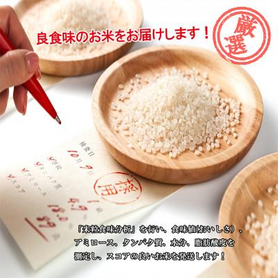 ふるさと納税 南魚沼市 【毎月定期便】南魚沼産新之助 5kg全12回 |  | 01