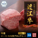 【ふるさと納税】近江牛 特選 モモ ロース ブロック 計1kg 各500g お肉 牛肉 グルメ ブランド牛 焼肉 食べ物 食品 和牛 誕生日 プレゼント ギフト おすすめ 人気 お取り寄せ 贈り物 特産品 お礼の品 冷凍 国産 送料無料