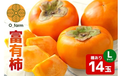 【2026年先行予約】富有柿 L14玉（1段） 柿 カキ かき フルーツ 果物 くだもの 産地直送 茨城県 石岡市 A44-001