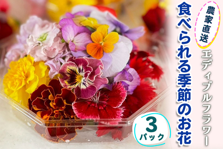 農家直送！加藤さんちのエディブルフラワー 3パック (1パックあたり季節のお花15輪から30輪)｜食用 花 お花 野菜 トッピング 付け合わせ [0763]