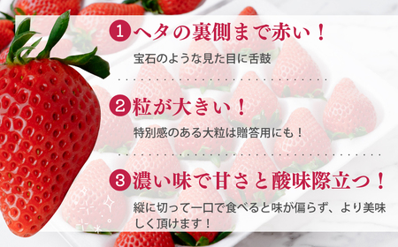 いちご 大粒完熟いちご「やよいひめ」800g