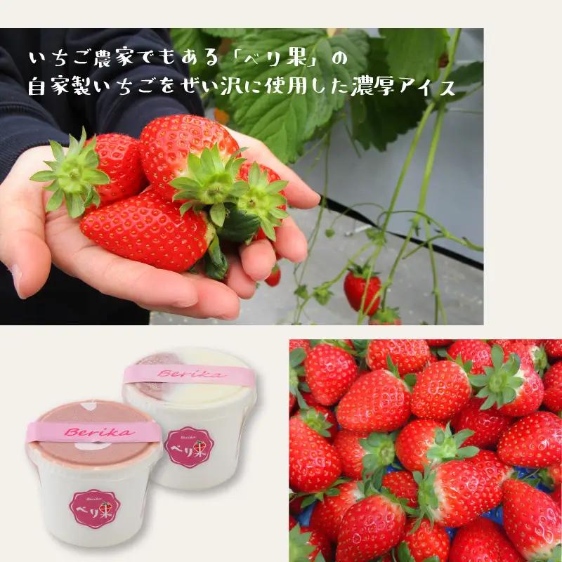 アイスクリーム 2種セットアイス