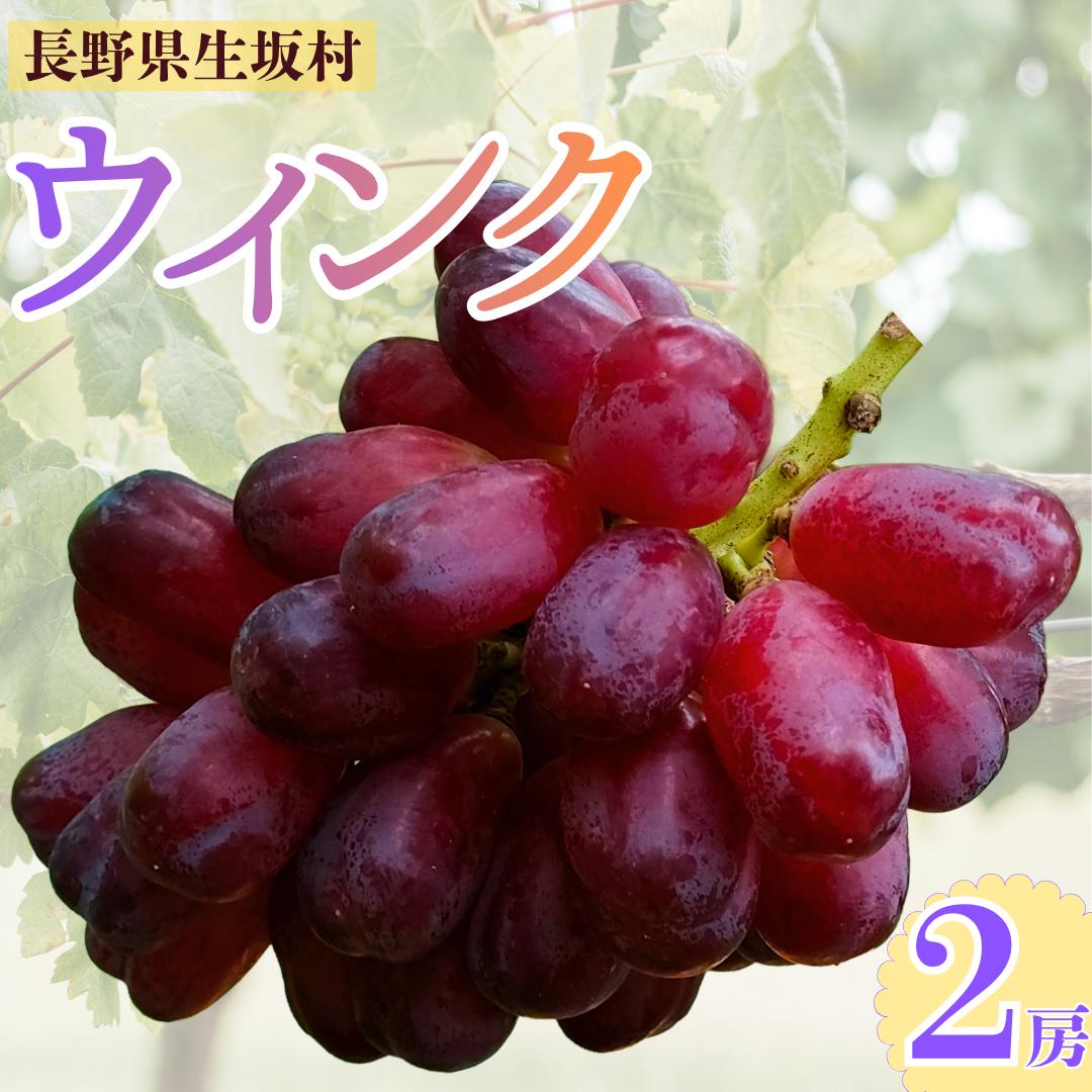 【ふるさと納税】ウインク　約1.1kg（2房）| ぶどう ブドウ 葡萄 皮ごと 種無し フルーツ 果実 長野県 生坂村