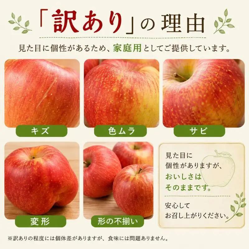 りんご 訳あり サンふじ 9kg  りんご