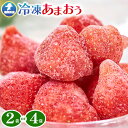 【ふるさと納税】福岡県産 冷凍あまおう1kg(500g×2袋) 2kg(500g×4袋) 南国フルーツ株式会社《12月中旬-3月末頃出荷》福岡県 小竹町 あまおう いちご イチゴ 送料無料【配送不可地域あり】