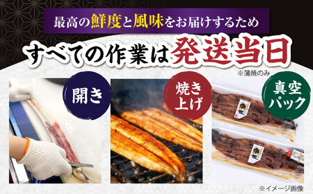 うなぎ満足セット 滋賀県長浜市/株式会社魚三[AQDF017]