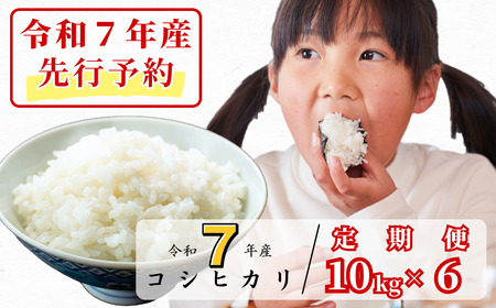 令和7年産新米予約・10月ごろよりお届け開始》【6回定期便】白米 10kg 令和7年産 コシヒカリ 岡山 あわくら源流米 K-ag-CECA