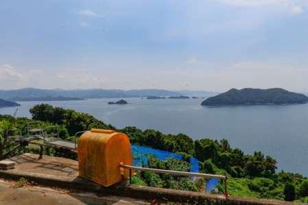 【岡市農園】愛果28号100％ プレミアムジュース※着日指定不可 ※離島への配送不可